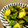 おかつぎ's cooksnap of when they made 塩昆布和えきゅうり＋しょうゆでコク旨.