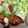 のぶよっしー's cooksnap of when they made 簡単☆ササミのフライ.