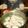 balkan's cooksnap of when they made ふっわふわ！蒸しブリしゃぶ.