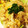 ＊まめゴマ＊'s cooksnap of when they made 超簡単☆たまごとたまねぎのバター炒め.