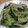 セクシージェニー's cooksnap of when they made 小松菜ともやしのダシダ炒め.