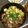 すみーすーみ's cooksnap of when they made 豆腐でかさ増し！！そぼろ丼.