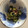 Fab's cooksnap of when they made タコとキュウリとワカメの酢の物.
