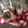 さっちん１５２ｃｍ's cooksnap of when they made 母の日にありがとう”フラワーサンド”動画.