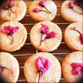 MizkiLab's cooksnap of when they made ひな祭りに♪桜の米粉クッキー.