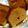 yoriventoh's cooksnap of when they made 新食感！黒糖きなこのパウンドケーキ！？.