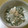 ヤチカル's cooksnap of when they made ワカメとツナのマヨ和え.