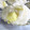 LioｎHeart's cooksnap of when they made やさしい☆鬼まんじゅう.