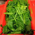 モチョ1013's cooksnap of when they made ほうれん草をルクエで蒸す.