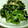 えりらっくま's cooksnap of when they made 春菊の旨みが生きる☆おひたし.