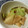 カワカリ☆'s cooksnap of when they made 春を感じる筍とキャベツの中華浅漬け.