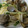akko617's cooksnap of when they made あさりとエリンギのパスタ☆.