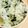 あさここなっつ's cooksnap of when they made 韓国海苔混ぜご飯.