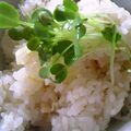 トコタン's cooksnap of when they made 筍好きのたけのこご飯（混ぜご飯）.