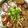 rabbit2187's cooksnap of when they made 年越し蕎麦は鴨南蛮.