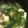 マイマイマミ's cooksnap of when they made くずし豆腐のとろみスープ.