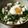 えつエツ's cooksnap of when they made 長芋＆オクラ＆塩昆布の温玉のっけ丼☆.