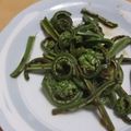 きらり流れ星's cooksnap of when they made こごみのぺペロンチーノ風炒め.