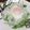 yk_nomu's cooksnap of when they made 新玉ねぎの温泉卵のっけサラダ.