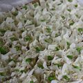 いぶ母ちゃん's cooksnap of when they made 豆腐とおからの手作りカニシュウマイ.