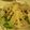 ふわわらら's cooksnap of when they made ☆豚しゃぶゴマだれサラダ☆.