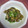 kitasun's cooksnap of when they made 潮干狩り後の男のアサリの酒蒸し.