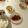ｌｕｋ．Ｐｅａｃｅ's cooksnap of when they made トマトソースのチキンソテー.