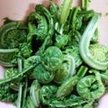 ☆もりみぃ☆'s cooksnap of when they made 【母の味】こごみのお浸し.