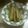 megu238's cooksnap of when they made 伝統の味　ふきの素朴煮.