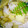 ねねしばこ's cooksnap of when they made 筍ごはん.