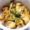 みしね's cooksnap of when they made 胸肉とごぼうの照り焼き丼.