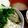 ユーロン's cooksnap of when they made ✿おうちで大勝軒！アツアツつけ麺✿.