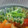 めかにか's cooksnap of when they made 簡単✧３分！！ほうれん草のからし和え！！.