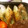 punk's cooksnap of when they made ちくわの磯辺焼き！？お弁当・おつまみに.