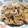 イクラちゃりんぐ's cooksnap of when they made オイマヨまったり焼きそば.