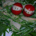 生誕１９７３年独身男's cooksnap of when they made ごぼうのマヨ和えわさび風味.