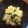 シェメ's cooksnap of when they made ニラと豆腐のフルフル.
