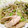 とれいら's cooksnap of when they made 鶏ささみともやしのあっさり中華炒め.