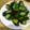 3姉妹ちゃんママ's cooksnap of when they made 昆布だしの素で旨ウマ♬キュウリの浅漬け.
