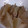 ａｃｃｏｒｉ's cooksnap of when they made 炊飯器で大根とツナの煮物.