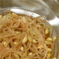vowvow's cooksnap of when they made もやしのナムル.