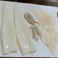 salasa109's cooksnap of when they made いかのさばき方.