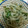 しょうがチューブ's cooksnap of when they made もやしとピーマンの蒸し蒸し炒め★.