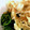 masu1004's cooksnap of when they made しょうがが決め手☆ほうれん草のおひたし.