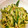 ちめぞ's cooksnap of when they made きゅうりとささみの豆板醤和え.