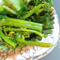タンサンタンサン's cooksnap of when they made あっさり簡単！かぶと菜の花の洋風浅漬け.
