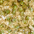 しえちゃん☆'s cooksnap of when they made 豆の卵とじ.