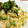 よもぎとヨーゼフ's cooksnap of when they made 白菜と卵の和風パスタ.