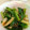 きょきょ子's cooksnap of when they made わけぎとじゃこの炒め物.