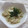miyuki12's cooksnap of when they made さっぱり☆なめたけと大根おろし和え.